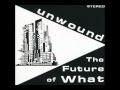 Unwound - New Energy