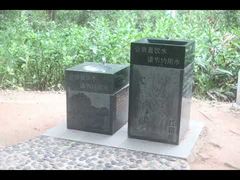 惠州惠陽城市漫步citywalk#紅樹林公園#虎頭山公園