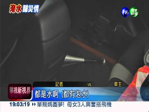 北市河濱車泡水 仰德大道路樹塌