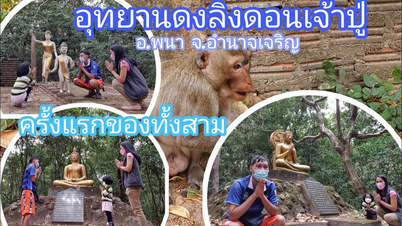 วนอุทยานดอนเจ้าปู่