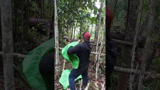 Download lagu cara membuat pondok praktis tanpa menggunakan tali dan paku mp3