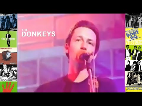 The Donkeys - Don't Go (Live on Oxford Road Show) Video.