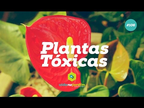 , title : 'Plantas Tóxicas #106'