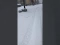 Seattle Snow 2021
