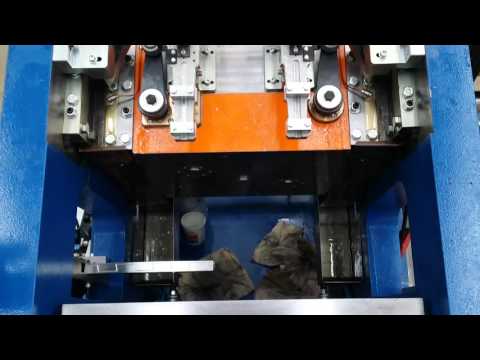 RICOME RPD 90 Strip Feed Press