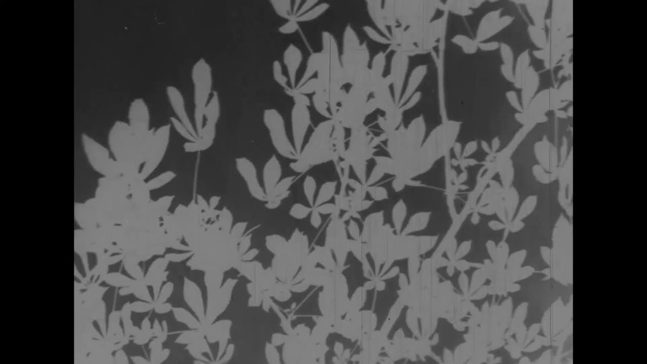 Jeux arborescents (1931) Malespine