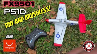 FX9501 Tiny P51D Redtail from Ali Express 🔥