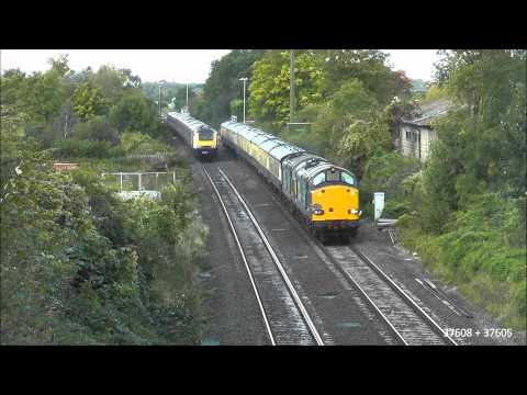 37608 + 37605 on 1Z37 @ Steventon 28/09/12