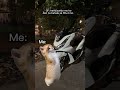 Mam Yes Mam Pcx160 Allnewpcx160 Sierraspeedtech