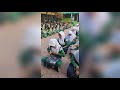 Siswa Siswi MTs Ambon Membaca Al Quran Setiap Pagi