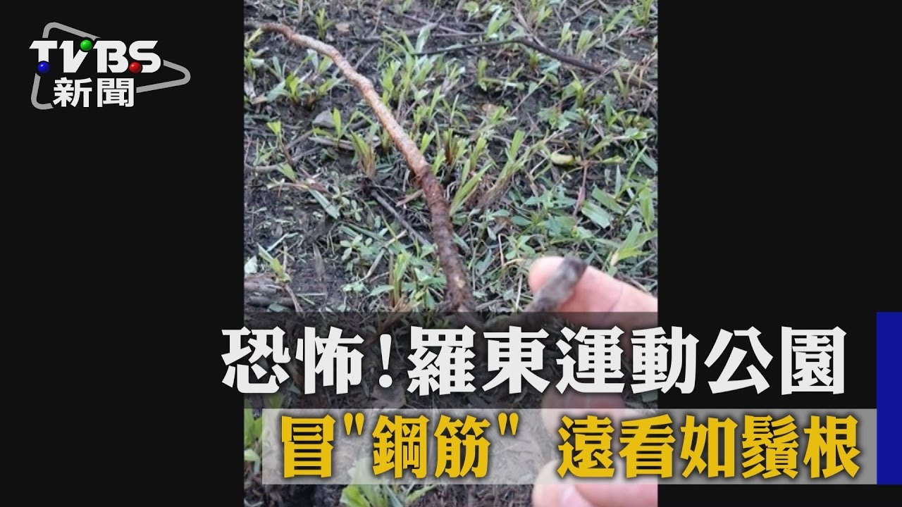 恐怖！羅東運動公園冒「鋼筋」　遠看如鬚根