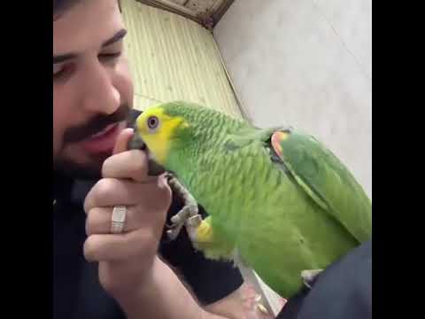 تحشيش عقول الطيب والببغاء يتعارك وياه #بارق #دويتو #اكسبلور #متابعه