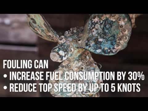 Never antifoul again with DryBerth™ Boat Float