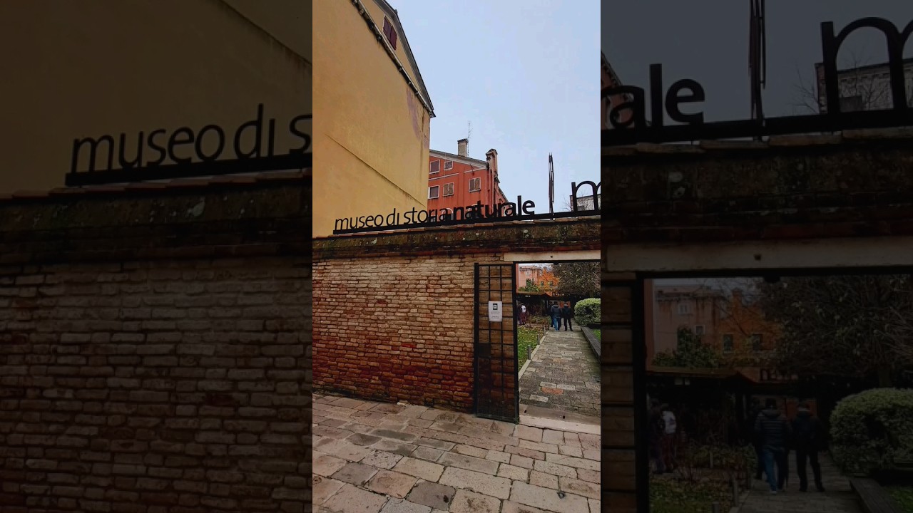 YouTube Short thumbnail