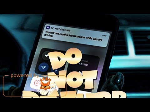 ZJ Prapa - Do Not Disturb - May 2018