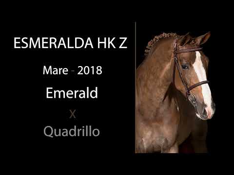 Esmeralda HK Z video