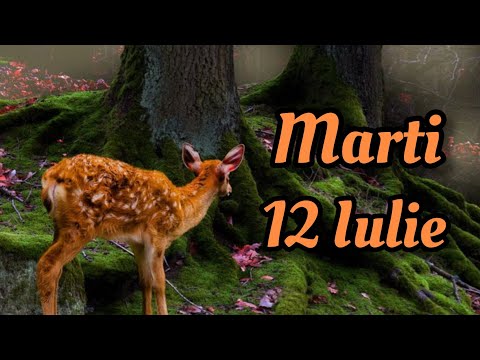 𝗧𝗮𝗿𝗼𝘁 𝘇𝗶𝗹𝗻𝗶𝗰 𝗽𝗲 𝘇𝗼𝗱𝗶𝗶 - 𝗠𝗮𝗿𝘁𝗶 𝟭𝟮 𝗜𝘂𝗹𝗶𝗲