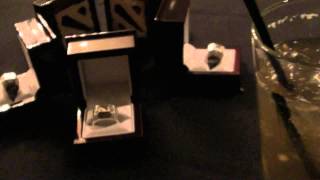 Dota 2 The International 2011 Champions Rings for Na`Vi