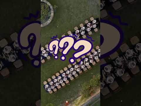 chicken party max poulet