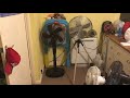 ANJI Depot 16 Inch Black Pedestal Fan VS Goodmans 16 Inch Black And Chrome Tripod Pedestal Fan