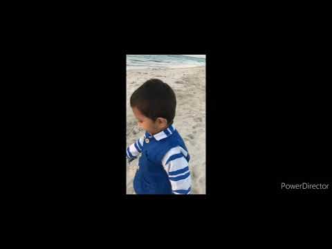 Fayaz play on the Umm Al Quwain beach ⛱️