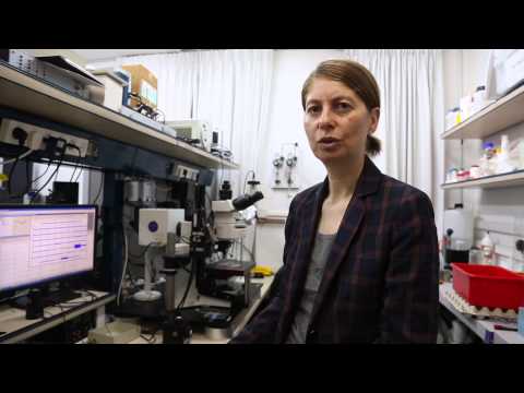 Yael Hanein discusses restoring vision with artificial retina
