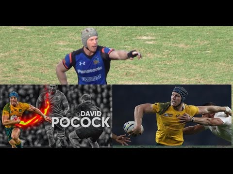 David pocock Tribute