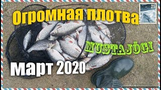 Правила рыболовства на ладожском озере 2020