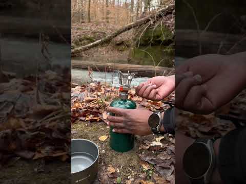 Cooking Breakfast In The National Rainforest 🏕️🎣 #fyp #viralshorts #camping #backpacking