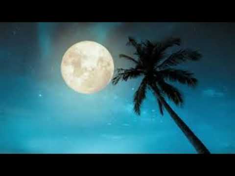 BELLA LUNA\\🎼Jason Mras. \\ ⛾Café Music♣ \\ 🎸Sebastián Fernandez Neyra🎙\\ 🎹GFM.