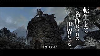 #1【MOD導入Skyrim VR】転生したら名作RPGの世界だった