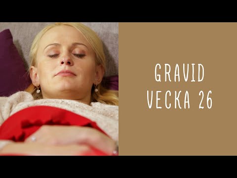 Gravid vecka 26