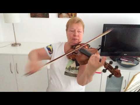 N. Minko - P. Castrucci Concerto gmoll part I piece 1