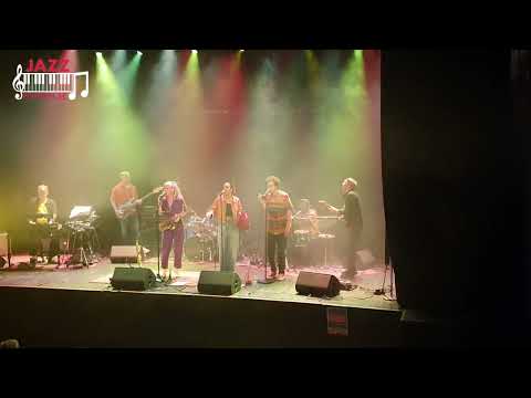 Konkarong   Yellow Butterflies