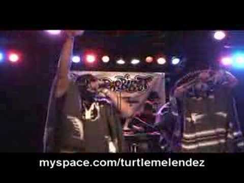 Turtle - Recognize & Realize Live @ Knitting Factory