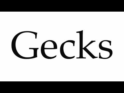 How to Pronounce Gecks
