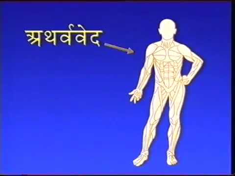 40 aspects of Veda and Vedic Literature in the human physiology