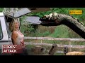 Forest Attack Scene ANACONDA 3 OFFSPRING அனாகொண்டா 3 ஆஃப்ஸ்ப்ர�