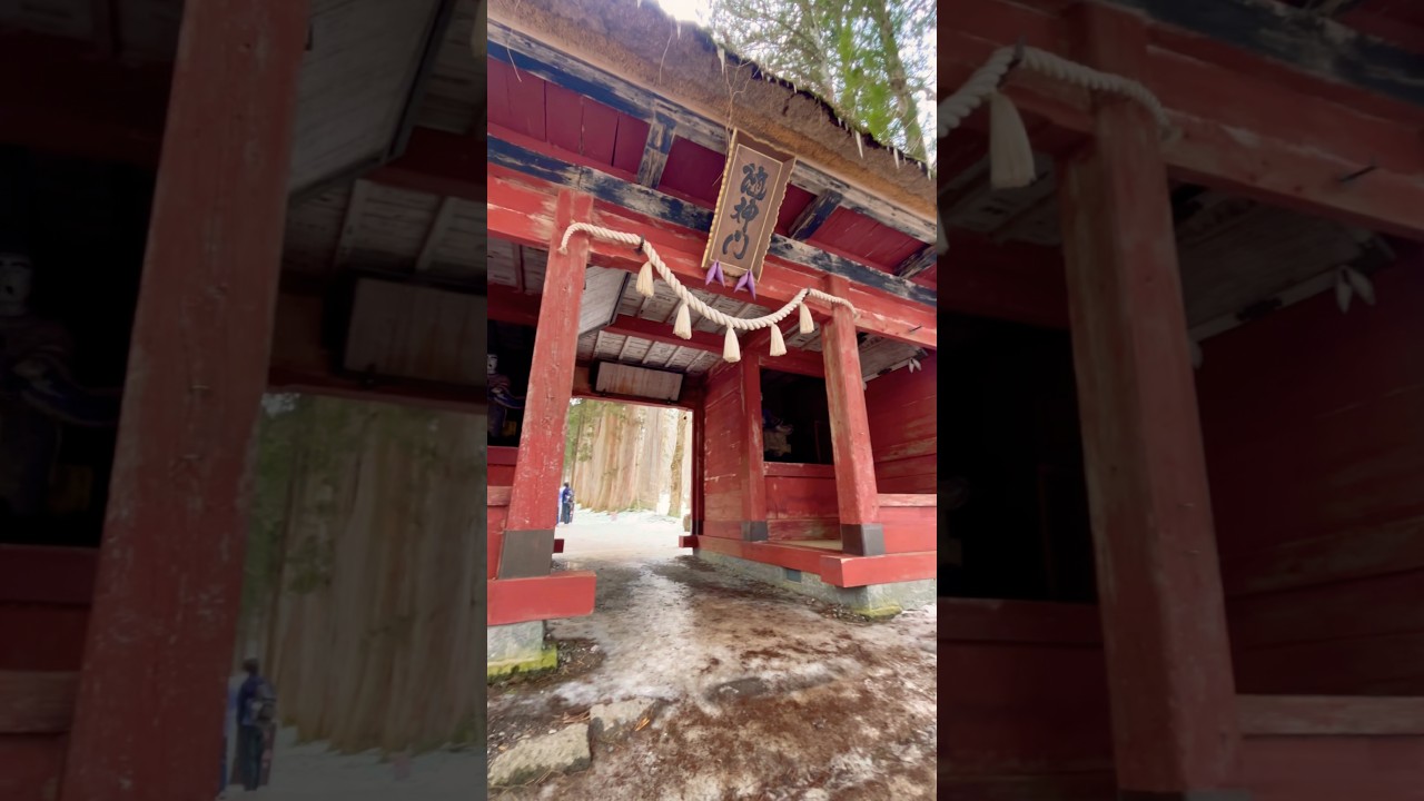 ศาลเจ้ากลางป่า #戸隠 #japan #travel #traveltips