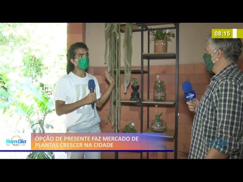 Opção de presente faz mercado de plantas crescer na cidade 25 02 2021