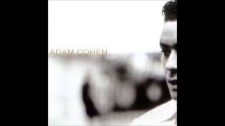 This Pain - Adam Cohen