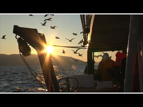 Neverin jači od bure