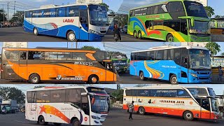 Download lagu Edisi Hunting Bus Jawatimuran Tikungan Medaeng | Pelita Indah, Bagong, Gunung Harta, Harapan Jaya mp3