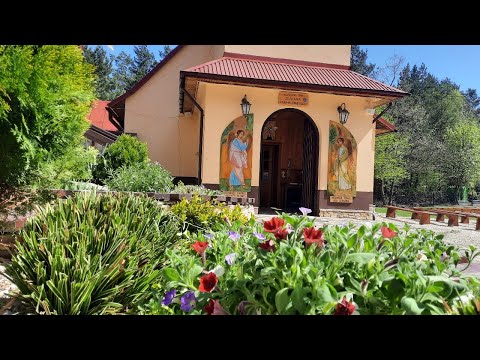 Msza Święta z Pustelni - transmisja na żywo - środa 12.05.2021 godz. 8:00