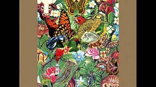 Parasols Thro' The Moors - The Skygreen Leopards