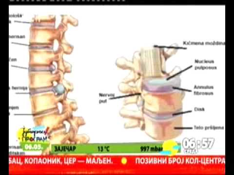RTS1 Jutarnji program docent dr Dušica Stamenković 06.05.2015.