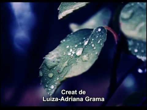 VALERIU PENISOARA   S-a strepezit si ora