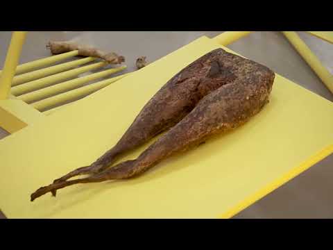 Roberto Cuoghi at the Fridericianum, Kassel