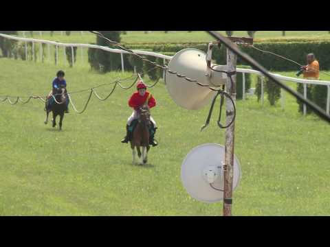 BR, 15. 6. 2019, Poníci 1