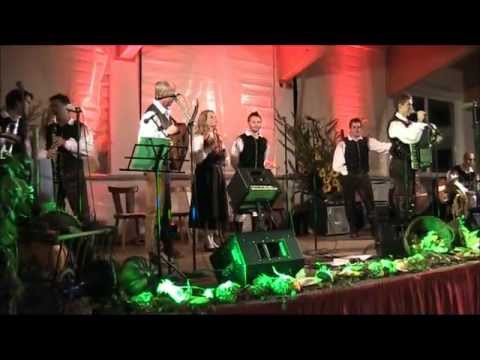 Gregor Avsenik & Saso Avsenik 17 Mädchen sind zum küssen da, Polka von Grogor Avsenik